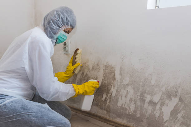 Best Crawl Space Mold Removal  in Melwood, MD